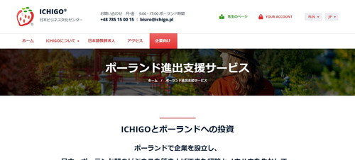 ICHIGOの公式HP